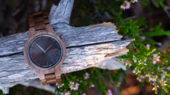 Aarni Vega Rannekello, Pahkinapuu