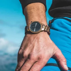 Aarni Vega Rannekello, Pahkinapuu