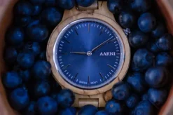 Aarni Vega Rannekello, Visakoivu