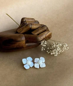 Butoni Hortensia Korvakorut, Valkoinen