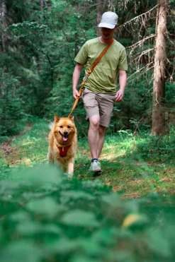 Roam Saadettava Talutushihna