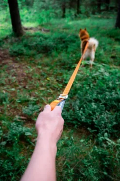 Roam Saadettava Talutushihna