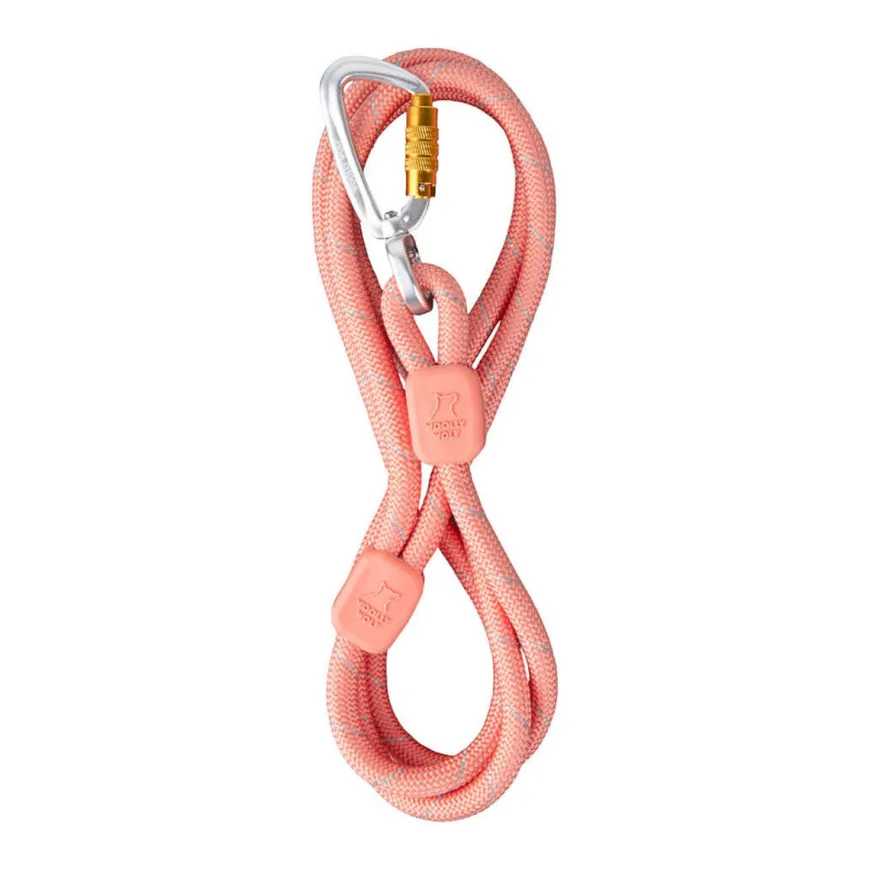 Rope Leash Talutushihna, Salmon Pink